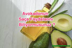 Avokadonun Saca Faydalari Ve Sac Bakim Maskeleri Avokadonun Saca Faydalari Avokado Sac Bakim Maskeleri Avokado Avokadonun Faydalari Sac Bakimi Sac Avokado