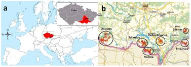 According to czech law no. Agronomy Free Full Text The Current Stage Of Greening Vegetation In Selected Wine Regions Of South Moravian Region Czech Republic