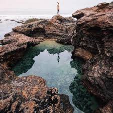 Exploring The Tide Pools Of Phillip Island And Being Reminded That Life S About Learning To Go With The Ebb An Phillips Island Adventure Inspiration Travel Fun