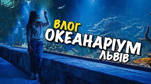 Як обіцяють на сторінці у facebook «океанаріум львів» має відкритись до 20 серпня, та точної дати поки не називають. Okeanarium Lviv Akuli Skati Tunel Pid Akvariumom Magazin Morskih Suveniriv Vlog Youtube