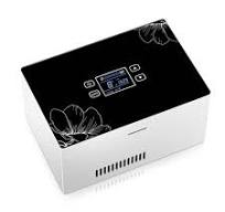 Amazon.com: Mini Fridges Medicine Refrigerator and Insulin Cooler,Large  Capacity Drug Constant Temperature Refrigerator,Portable Car Refrigeration  ...