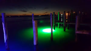 Underwater Dock Lights By Illumisea Lighting Up The Water At Chicks Oyster Bar In Virginia Beach Va Dock Lighting Solar Deck Lights Fishing Lights