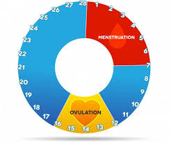 What Really Causes Irregular Menstrual Cycles In Female