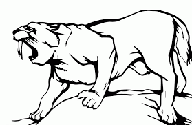 Coloring page saber tooth tiger img 9106 images. Saber Tooth Coloring Pages Sabertooth Shark Coloring Pages Coloring Pages