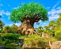 Immagine di Disney's Animal Kingdom, Orlando