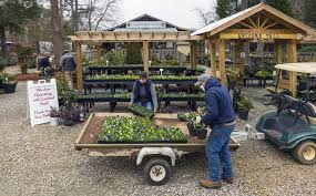 Fairview garden center met our customers' needs through growing our business and moving from. Small Business Spotlight Campbell Road Nursery Cary Magazine