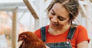 What Can Chickens and Scary Moms Teach Us About Jesus?