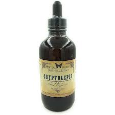 Image result for Cryptolepis