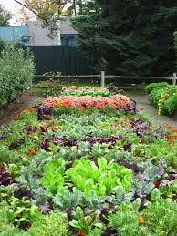 Best 20 Vegetable Garden Design Ideas For Green Living Vegetable Garden Design Garden Layout Backyard Vegetable Gardens