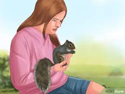 I tried hard to save a baby squirrel. 4 Ways To Take Care Of A Wild Squirrel Wikihow