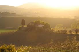 Risultati immagini per logo tenuta del cerro