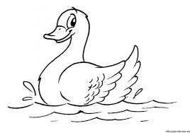 Dibujos Animados Para Colorear Pato