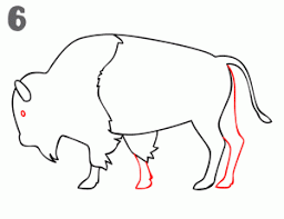 How To Draw A Buffalo Step By Step Buffalo Art Buffalo Painting Bison Art