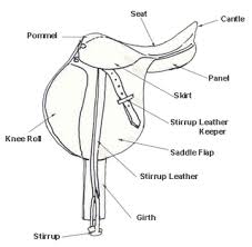 Down The Bridle Path Basic Tack And Its Care Horse Lessons Horse Riding Tips English Horse Tack