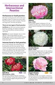 This is the largest group of pronouns. Adelman Peony Gardens 2019 Catalog By Adelman Peony Gardens Issuu