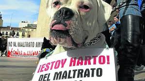Imagen relacionada