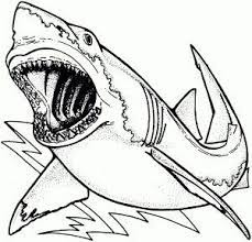 These spring coloring pages are sure to get the kids in the mood for warmer weather. Shark Coloring Pages Pdf Printable Coloringfolder Com Shark Coloring Pages Animal Coloring Pages Whale Coloring Pages