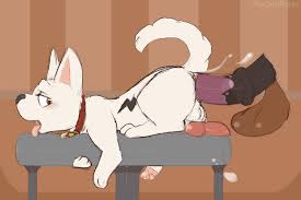 Rule34 - If it exists, there is porn of it  pocketpaws, bolt (character)   2799160