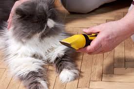 See full list on petsgroomingprices.com R7u9q D6sddexm