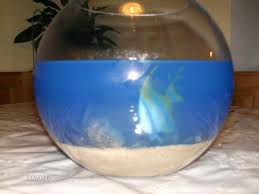 Der fiese geldgeschenke zum 30 geburtstag test & vergleich. Geldgeschenk Lustig Verpackt Parents At Das Elternforum