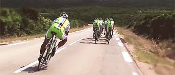 The best gifs are on giphy. Peter Sagan