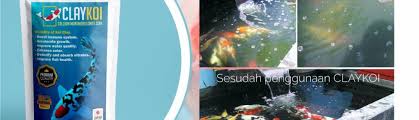 Sebelumnya makasih ya.ditunggu share nya. 0822 3127 4749 Tsel Cara Menjernihkan Air Kolam Ikan Yang Keruh Kolam Koi Berbusa Claykoi Tulungagung Yogyakarta Banjarmasin Wonosobo Jual Penjernih Air Kolam Ikan Koi Claykoi Tlp Wa 0822 3127 4749 Tsel