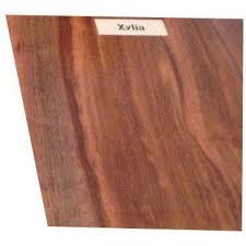 Image result for Xylia torreana