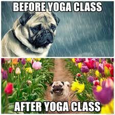 Be aware from other fake/spam websites (.net,.us, etc) which using our design/name !! Yoga Meme Google Search Funny Yoga Memes Yoga Meme Yoga Funny