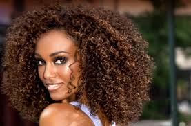 Black And Brown Highlights Curly Hair Gelila Natural Hair Styles Curly Hair Styles Hair Styles