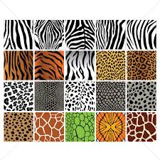 Giraffe animal print background stock images by lenm 2/312. Set Of Animal Print Backgrounds Vector Image 1621700 Stockunlimited