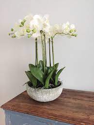 Large Luxury Artificial Potted Orchid Arrangement Artificial Orchids Orchid Arrangements Orchids