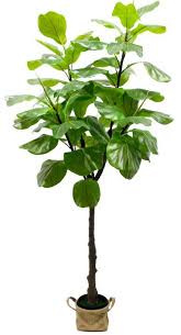 Water once a week or longer i.e. Artificial Fiddle Leaf Fig Tree China Artificial Tree And Artificial Plant Price Made In China Com