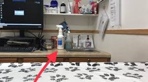 Maybe you would like to learn more about one of these? 5 Products That Kill Parvo Besides Bleach No Lysol Doesn T Kill Parvo