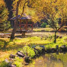 Frații jderi este un film istoric românesc în două părți din 1974, regizat de mircea drăgan. GrÄdina AscunsÄ De Pe Valea Lotrului Coltisor De Romania