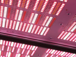 Get it as soon as wed, jun 30. Why Is Led Grow Light Purple Valoya Led Grow Lights
