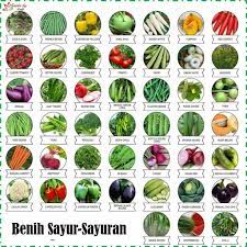 Changkat kinding, ipoh, 31650, malaysia. Benih Sayur Sayuran Variety Of Vegetable Seeds Shopee Malaysia