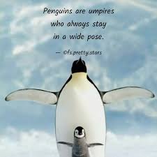 7 famous quotes about penguin love: Best Penguin Quotes Status Shayari Poetry Thoughts Yourquote