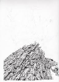 Try not to upset yourself with the huge amount of details that you see in a tree, but try to instead, break trees down into simpler shapes that you see.such as ovals, lines. Tree Remrov S Artwork