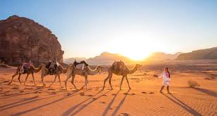 How many days do you need to see jordan? Camel Safari Ship Of The Desert By Why Jordan Tours Code Cs Std Tourradar