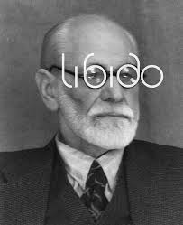 Esse ano me ensinou mais pelo amor do que pela dor. E isso não significa  que foi fácil, significa que, quando precisei ser forte, não tive que fazer  isso sozinha. Mas isso
