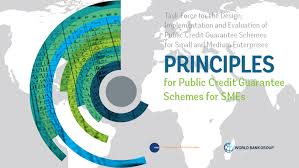 Principles For Public Credit Guarantee Schemes Cgss For Smes
