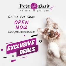 Pet stores, pet food & pet supplies (2) florists & flowers (1) birds (1) bird cages & accessories (1) balloons (1) pet shops & supplies (1) dogs (1) pet food stores pet shop near me. Facebook
