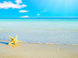 Mengabadikan sebuah pemandangan lautan bebas mungkin sudah panorama alam berupa deburan ombak laut yang membawa sebuah bongkahan kayu seperti gambar. Gambar Pemandangan Pantai Dengan Bintang Laut Pemandangan Pantai Di Pantai