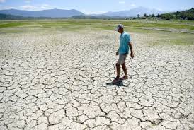 Tanaman padi, penyemprotan padi, panen padi, benih padi, padi ciherang, padi mikongga, padi organik, budidaya padi sawah kali ini informasi mengenai keuntungan petani padi dan analisa usaha budidaya padi sawah untuk satu kali musim tanam. Pesawah Kota Belud Mulai Bimbang Bendang Tidak Cukup Air Borneo Today