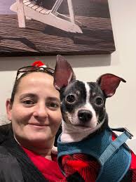 It's Valentino's 4th birthday today!! Too hot to take a birthday walk but  he got a new bone and lots of love. Here's a picture of him over the years,  one in