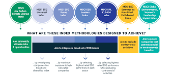 Esgd msci facs and factor box. Msci Esg Indexes Msci