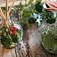 Christmas Reed Diffusers event image