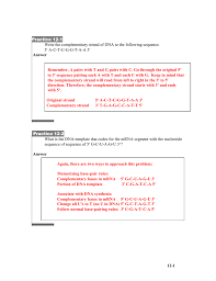 This is an online quiz called dna base pairing rule. 12 1 Practice 12 1 Write The Complementary Strand Of Dna To The