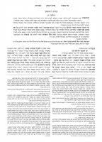 Schottenstein Talmud Yerushalmi Hebrew Edition 26 Tractate Megillah Hardcover Judaica Place