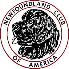 Check spelling or type a new query. Since 1930 The Nca Has Been Proud To Be A Strong Voice To Preserve Promote And Protect The Newfoundland Dog